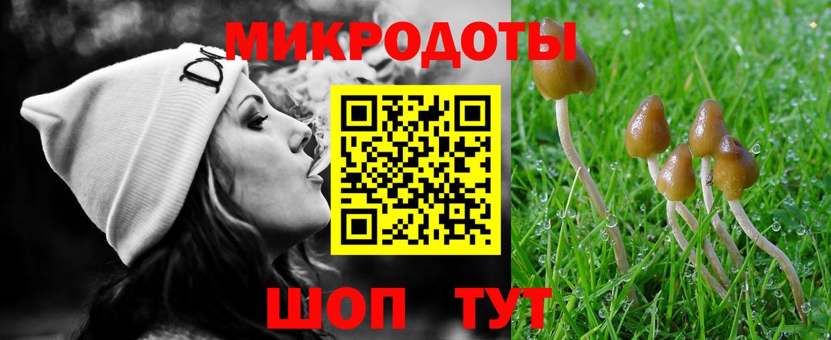 Галлюциногенные грибы Psilocybe  Галлюциногенные грибы Magic Shrooms  Вход с VPN  Буйнакск 